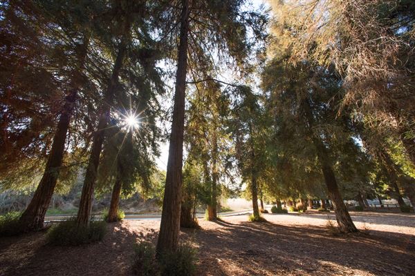 Carbon Canyon Regional Park (8/12/2025 - Credits: Courtesy of OC Parks)