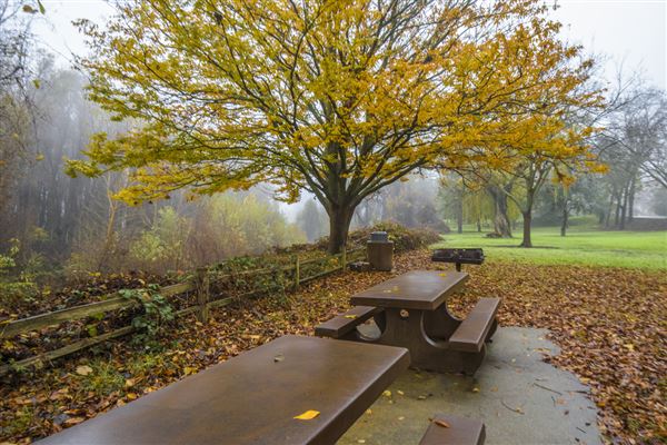 Colusa-Sacramento River State Recreation Area (SRA) (12/9/2016 - Credits: Brian Baer)