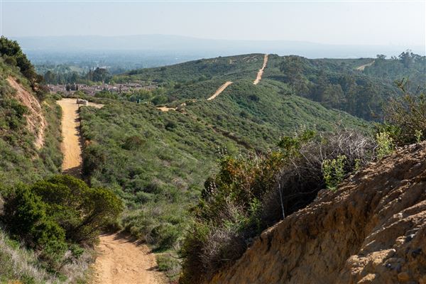 Peters Canyon Regional Park (8/12/2025 - Credits: Courtesy of OC Parks)