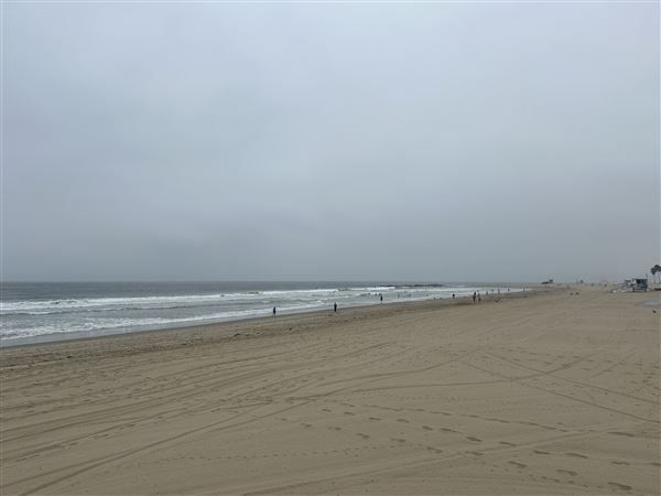 Venice Beach, Boardwalk, Pier & Recreation Center (8/14/2025 - Credits: Brandy Davis)