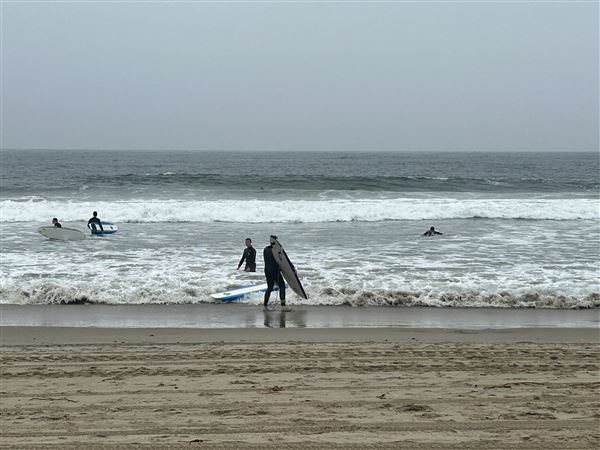 Venice Beach, Boardwalk, Pier & Recreation Center (8/14/2025 - Credits: Brandy Davis)
