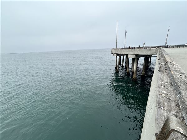 Venice Beach, Boardwalk, Pier & Recreation Center (8/14/2025 - Credits: Brandy Davis)