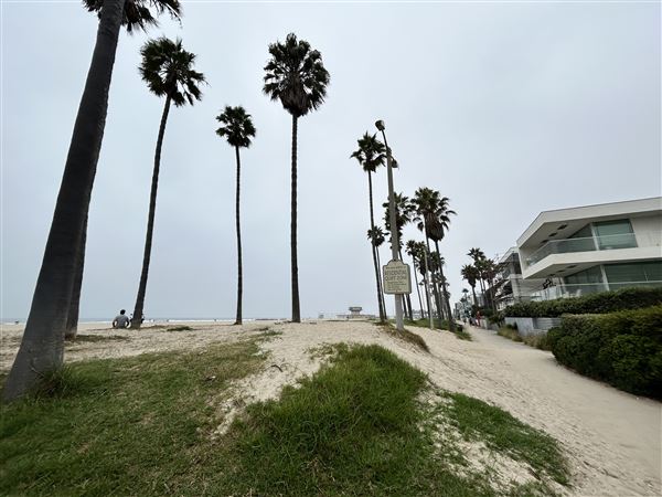 Venice Beach, Boardwalk, Pier & Recreation Center (8/14/2025 - Credits: Brandy Davis)