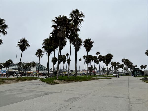 Venice Beach, Boardwalk, Pier & Recreation Center (8/14/2025 - Credits: Brandy Davis)
