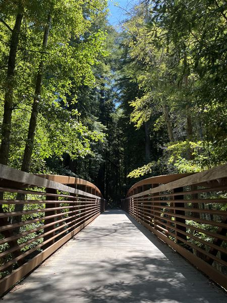 Pfeiffer Big Sur State Park (SP) (8/17/2025 - Credits: Melody Hildreth)