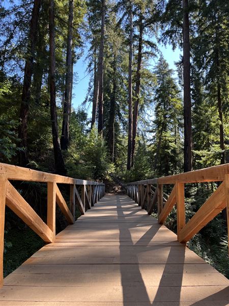 Pfeiffer Big Sur State Park (SP) (8/17/2025 - Credits: Melody Hildreth)
