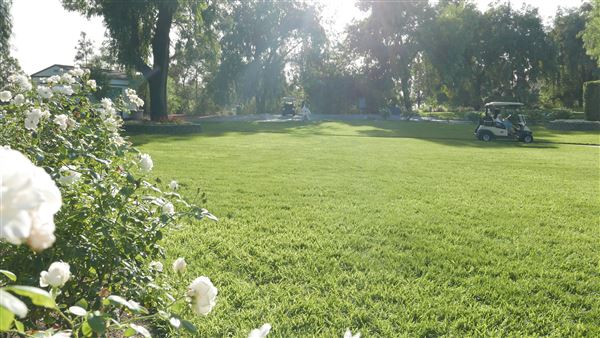 Pacific Palms Resort - Wedding Lawn (10/12/2018 - Credits: Leo Fialho)
