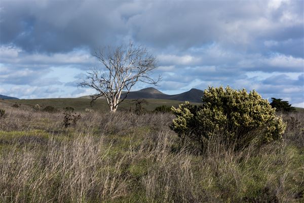 Harmony Headlands State Park (SP) (11/28/2016 - Credits: Brian Baer)