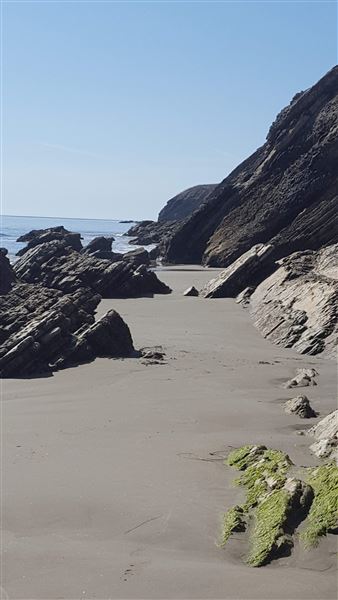 Gaviota State Park (SP) (8/26/2025 - Credits: Jennifer Jackson)