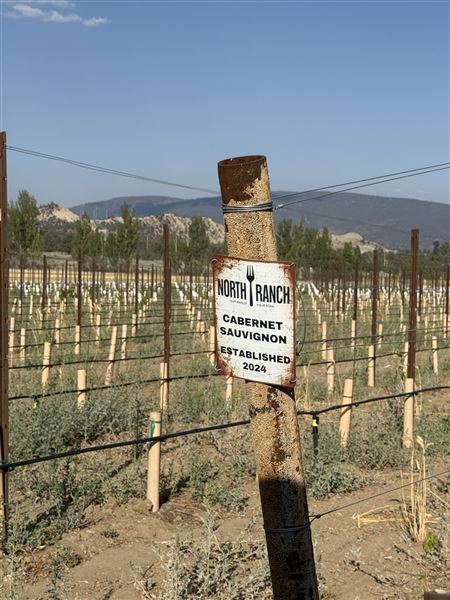 North Fork Ranch - Ventura County (9/3/2025 - Credits: Mary Avery)