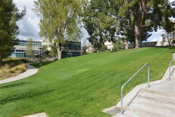 College of the Canyons - Quad (3/21/2019 - Credits: Leo Fialho)