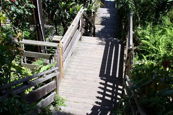 Filbert Steps (10/24/2025 - Credits: San Francisco City & County Film Commission)