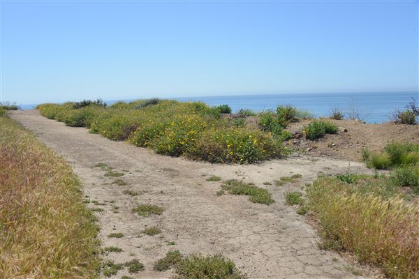 El Pescador State Beach @ Robert H. Meyer Memorial State Beach (SB) - CFC (4/17/2019 - Credits: Leo Fialho)