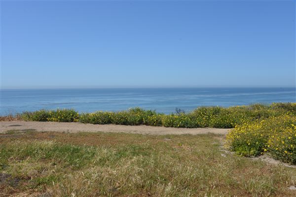 El Pescador State Beach @ Robert H. Meyer Memorial State Beach (SB) - CFC (4/17/2019 - Credits: Leo Fialho)