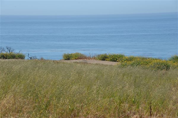 El Pescador State Beach @ Robert H. Meyer Memorial State Beach (SB) - CFC (4/17/2019 - Credits: Leo Fialho)