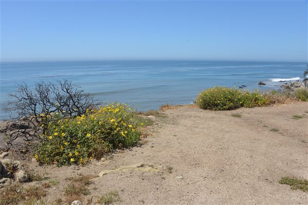 El Pescador State Beach @ Robert H. Meyer Memorial State Beach (SB) - CFC (4/17/2019 - Credits: Leo Fialho)