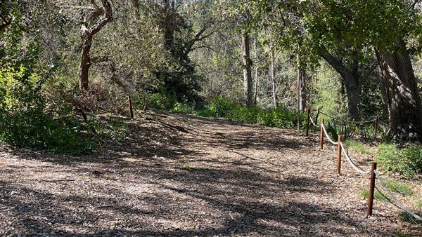 Descanso Gardens - California Garden (3/7/2022 - Credits: Leo Fialho)