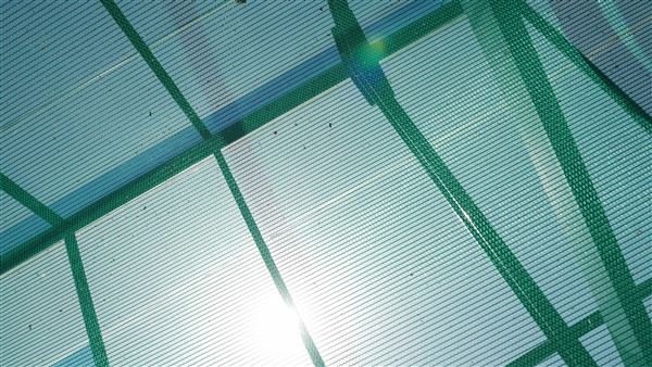Descanso Gardens - Plant Propagation Greenhouse (7/26/2017 - Credits: Leo Fialho)