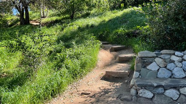 Descanso Gardens - Hopes Garden (3/7/2022 - Credits: Leo Fialho)