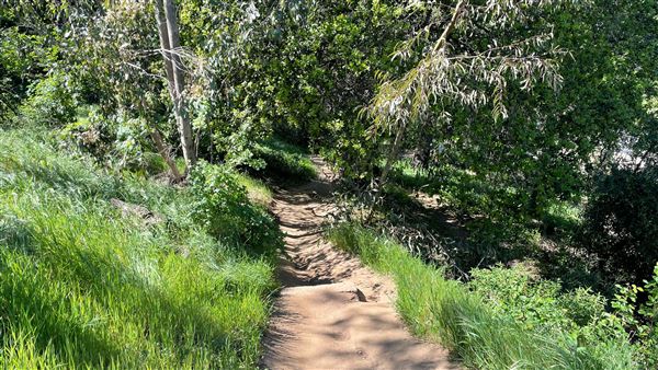 Descanso Gardens - Hopes Garden (3/7/2022 - Credits: Leo Fialho)