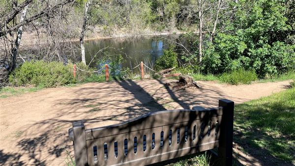 Descanso Gardens - Lake (3/7/2022 - Credits: Leo Fialho)
