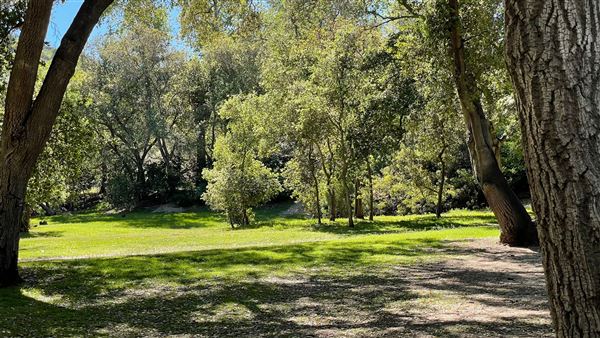 Descanso Gardens (3/7/2022 - Credits: Oak Grove)