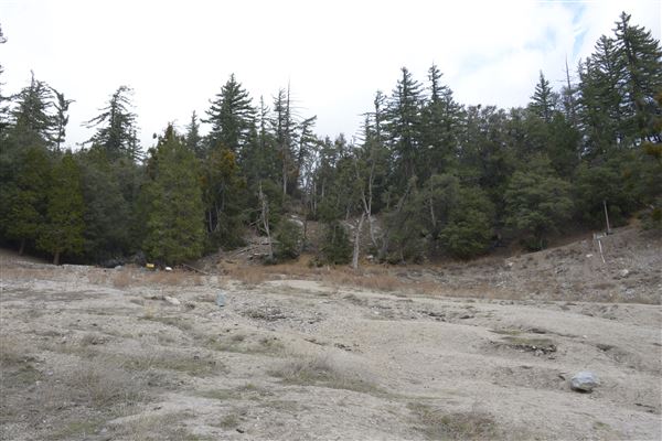 Crystal Lake Recreation Area / Campground - Angeles National Forest (1/30/2015 - Credits: Leo Fialho)