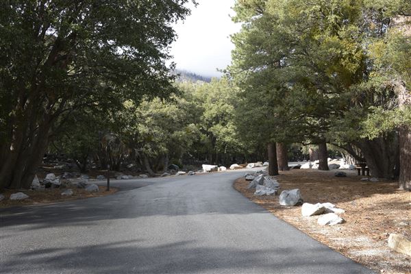 Crystal Lake Recreation Area / Campground - Angeles National Forest - Camping Loop A - Site 4 (1/30/2015 - Credits: Leo Fialho)