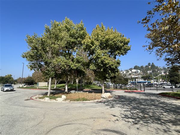 Rio de Los Angeles State Park (SP) - Taylor Yard - Inter Agency - LA City Parks & CA State Parks (11/3/2025 - Credits: Brandy Davis)