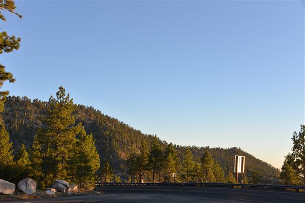 Angeles Crest Highway - SR2 - MM 56.0 - 57.0 (Outside TMZ) (7/28/2017 - Credits: Leo Fialho)