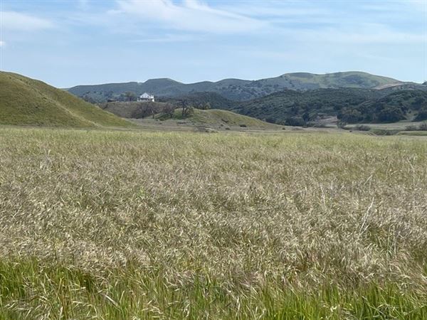 Big Sky Movie Ranch - Farmhouse (11/17/2025 - Credits: Owner)