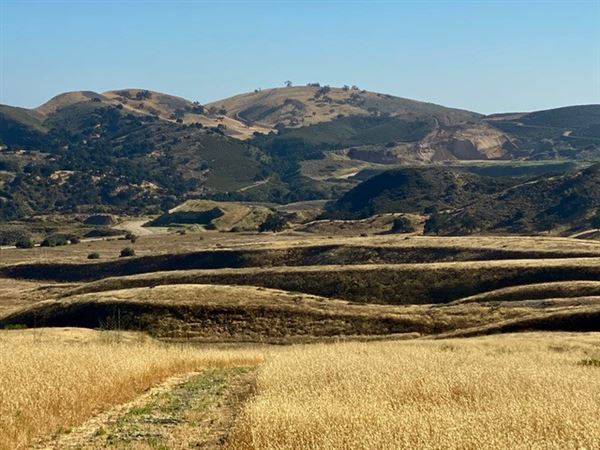 Big Sky Movie Ranch - Roads & Vistas & Forest (11/17/2025 - Credits: Owner)