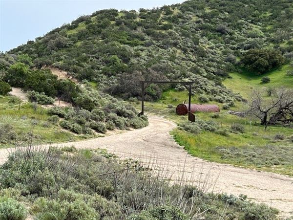 Big Sky Movie Ranch - Roads & Vistas & Forest (11/17/2025 - Credits: Owner)