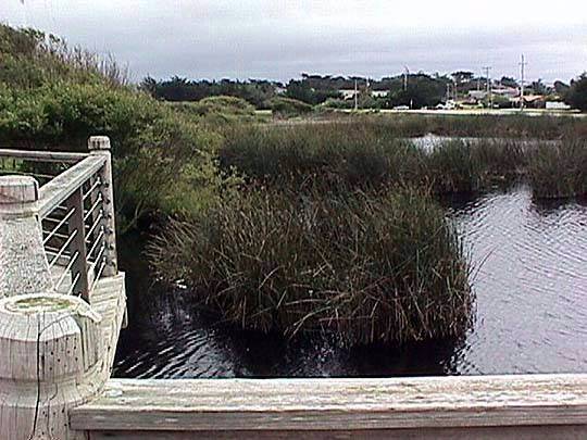 Locke Paddon Park (12/31/2003)