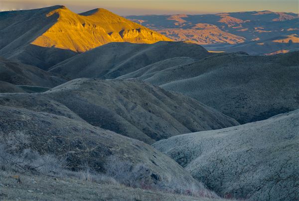 Panoche Hills - BLM (12/8/2025 - Credits: Jesse Pluim - Bureau of Land Management)