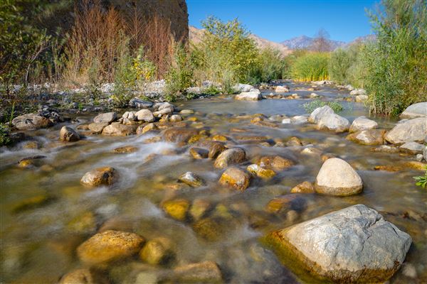 Whitewater Preserve (12/8/2025 - Credits: Jesse Pluim - Bureau of Land Management)