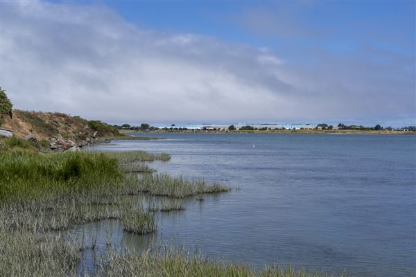 Albany State Marine Reserve - State Lands Commission (SLC) (7/31/2024 - Credits: Brian Baer)