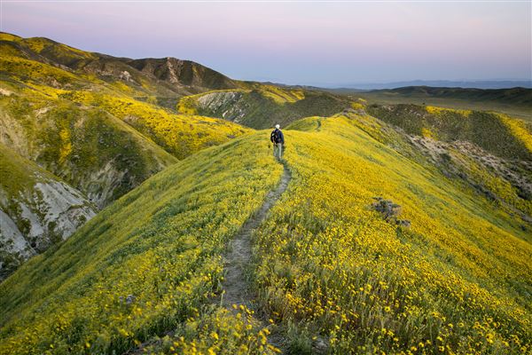 Carrizo Plain National Monument (12/11/2025 - Credits: Bob Wick - Bureau of Land Management)