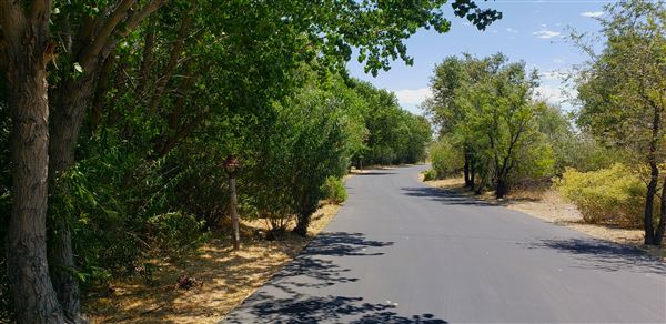 The Painted Turtle Camp - Paved Roads (7/17/2025 - Credits: David Halver)