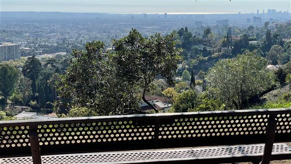 Griffith Park Redwoods - Cedar Grove - Cedar Grove Trail (3/16/2022 - Credits: Leo Fialho)