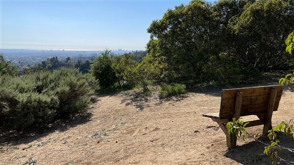 Griffith Park Redwoods - Cedar Grove - Cedar Grove Trail (3/16/2022 - Credits: Leo Fialho)