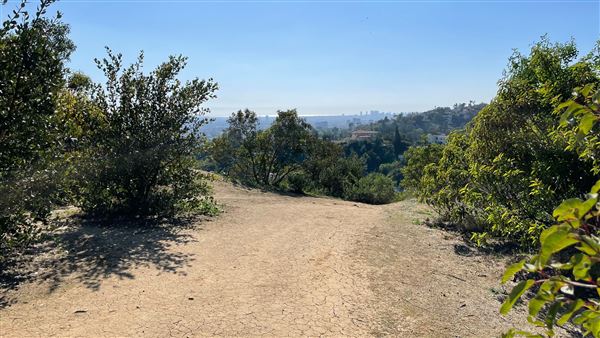 Griffith Park Redwoods - Cedar Grove - Cedar Grove Trail (3/16/2022 - Credits: Leo Fialho)