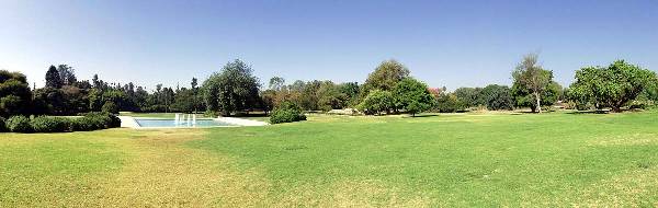 Los Angeles County Arboretum (12/31/2003)