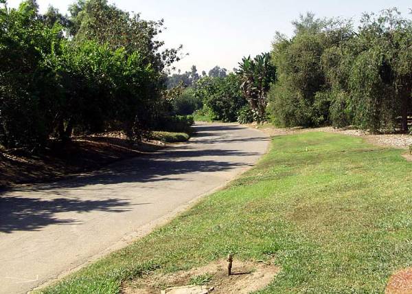 Los Angeles County Arboretum (12/31/2003)