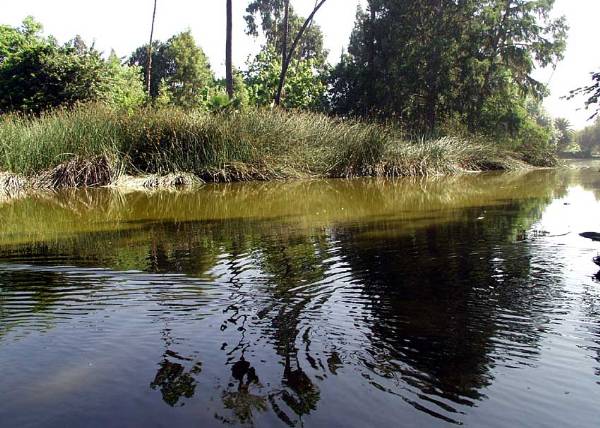 Los Angeles County Arboretum (12/31/2003)