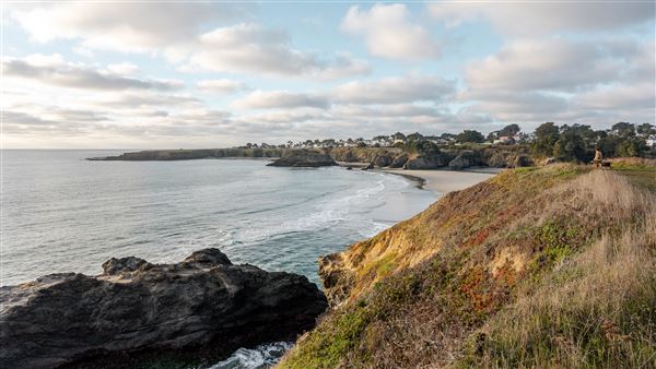 Mendocino Bay Overlook (Public Access Easement) (3/5/2026 - Credits: submitted by: Anne Young)