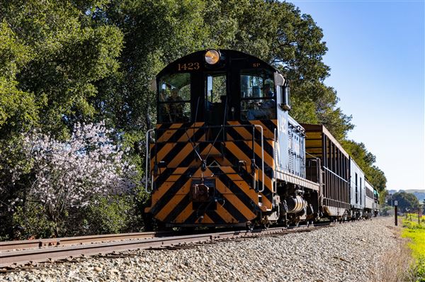 Niles Canyon Railway & Sunol Depot - Southern Pacific Railroad #1423 pulls a Niles Canyon Railway passenger train out of the Sunol station and along Highway 84 where flowering trees and wildflowers can be seen during the springtime runs of the museum. (3/18/2026 - Credits: Christopher Hauf – Niles Canyon Railway)