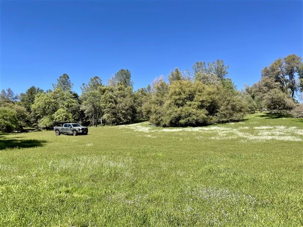 Aukum Ranch (3/20/2026 - Credits: Jon Masters)