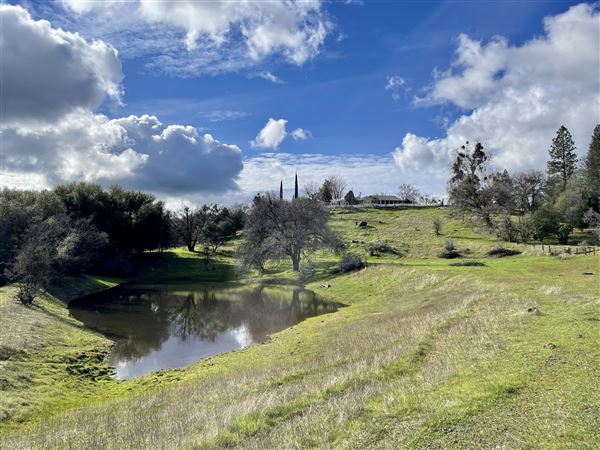 Aukum Ranch (3/20/2026 - Credits: Jon Masters)