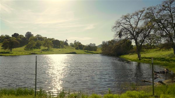 8,600 Acres in Mariposa & Madera County (3/21/2026 - Credits: Nicholas Padilla)